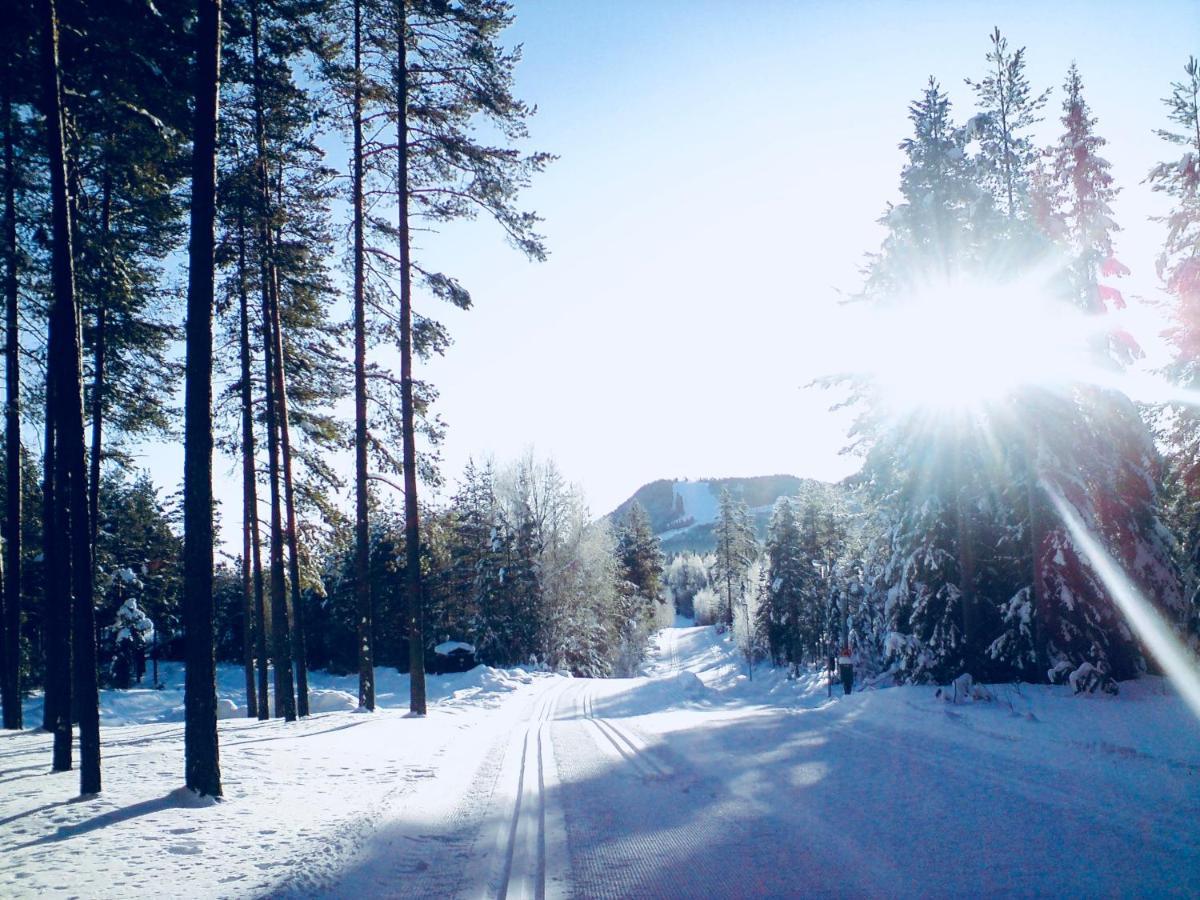 Vasa Ski Lodge Mora Exteriér fotografie